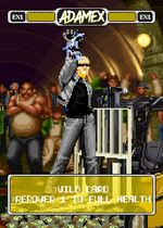 画像をギャラリービューアに読み込む, AdamEX パワーカード - ピクセルヴィクセン #34B