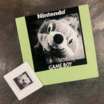 Load image into Gallery viewer, Beeko - AdamEX GB Camera #7