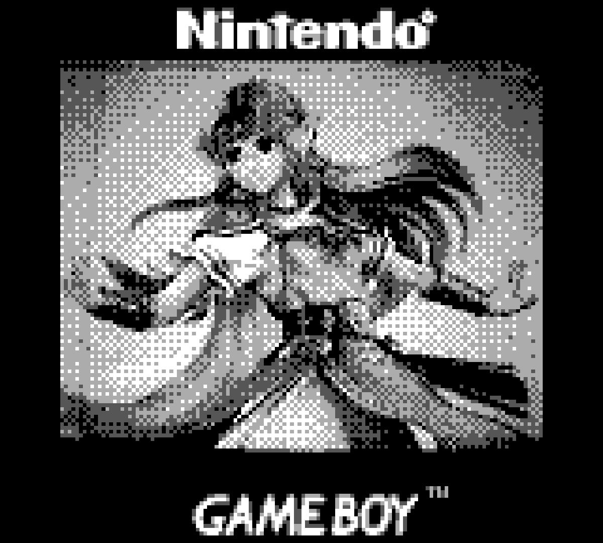 Zelda - GameBoy Camera #11