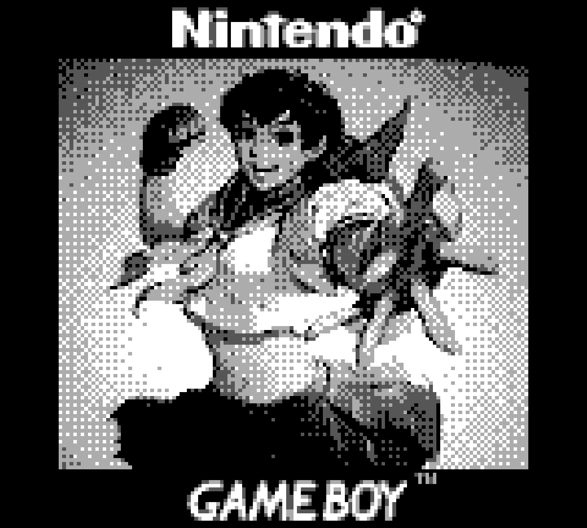 GameBoy Camera Floppy Vol 1