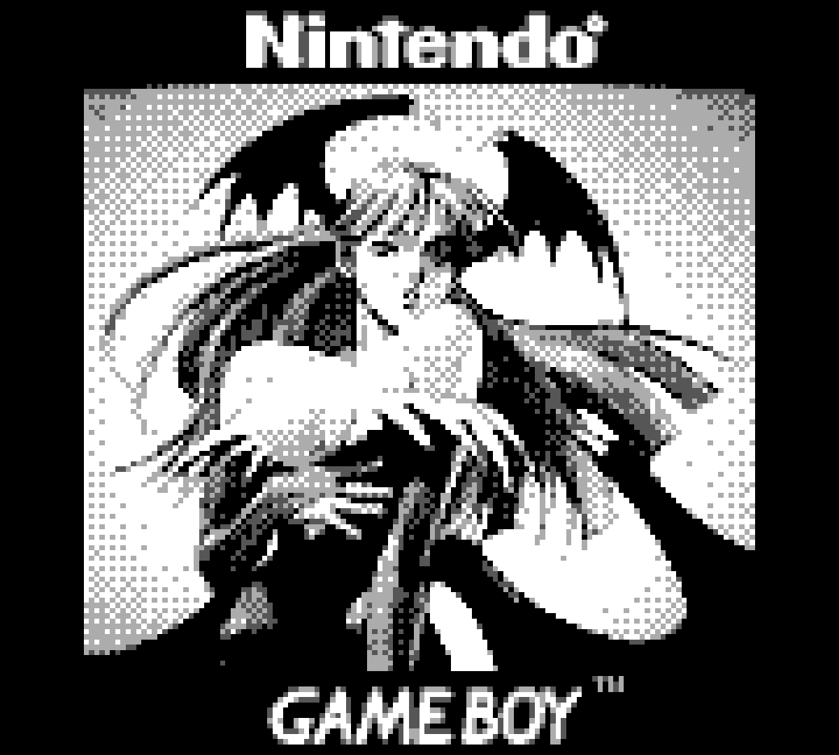 GameBoy Camera Floppy Vol 1